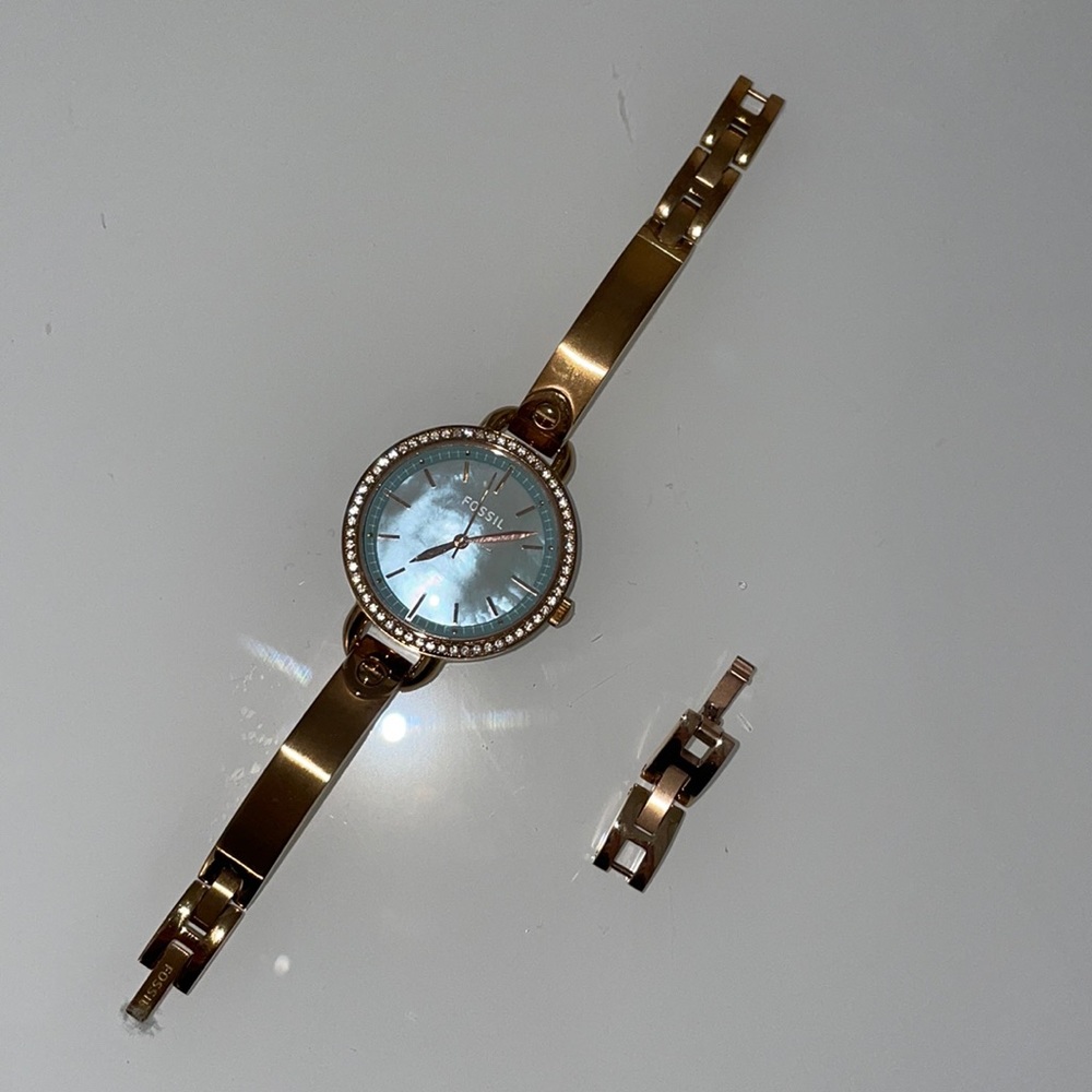 Fossil Watch